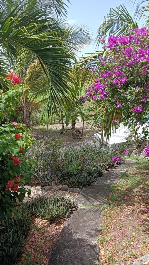 T2 Jardin Clos Les Nids De La Colline Сен-Франсуа Екстер'єр фото